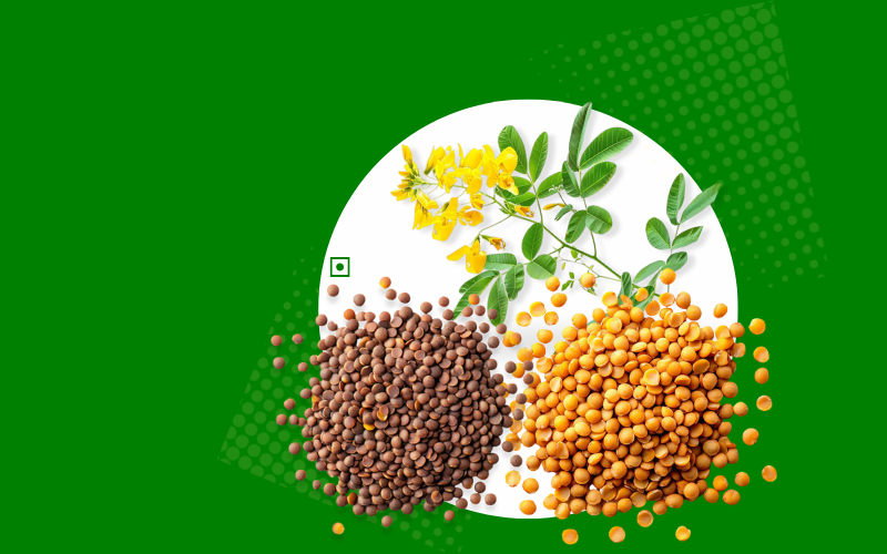 Unpolished Toor Dal (Arhar)